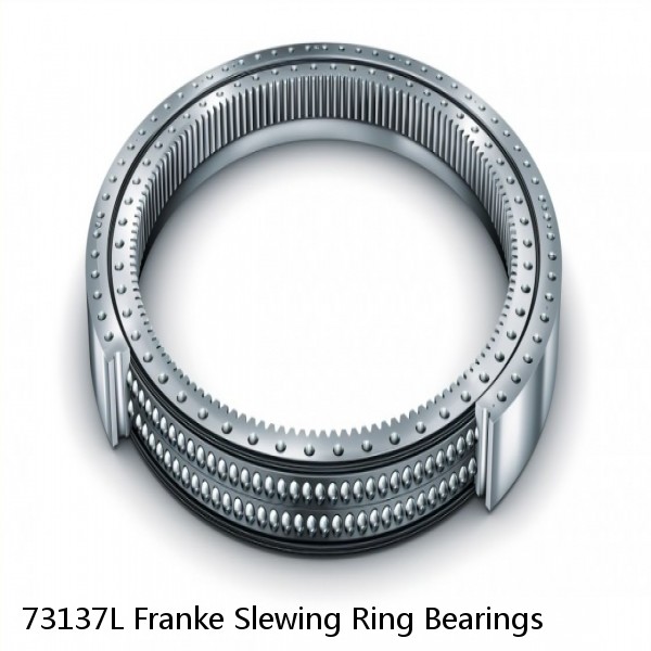 73137L Franke Slewing Ring Bearings
