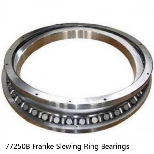 77250B Franke Slewing Ring Bearings