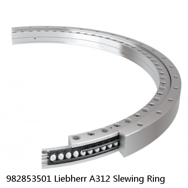 982853501 Liebherr A312 Slewing Ring