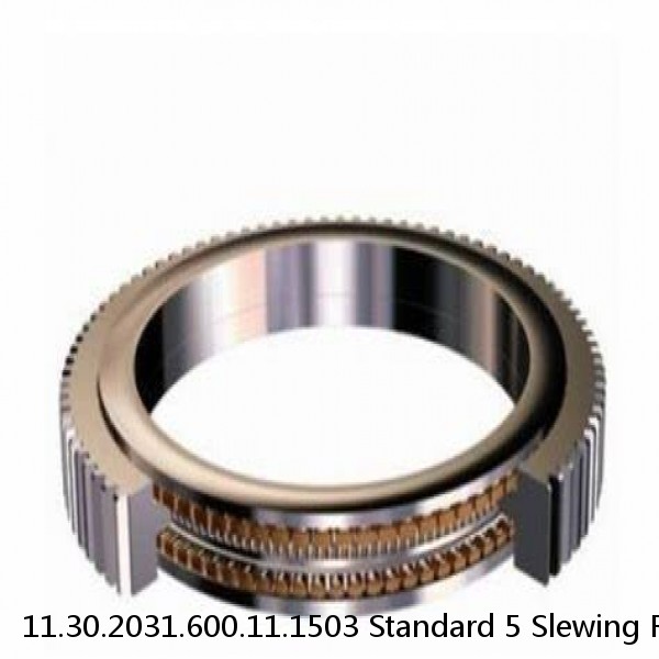 11.30.2031.600.11.1503 Standard 5 Slewing Ring Bearings