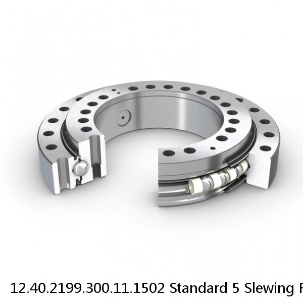 12.40.2199.300.11.1502 Standard 5 Slewing Ring Bearings