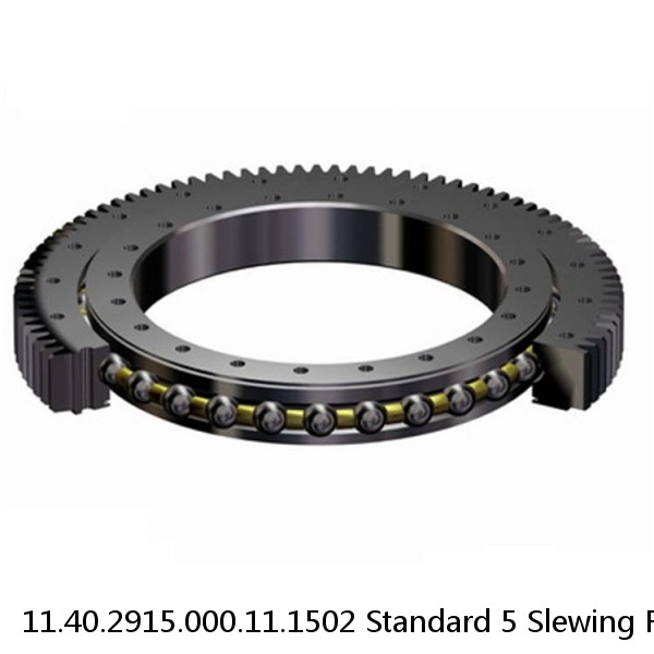 11.40.2915.000.11.1502 Standard 5 Slewing Ring Bearings