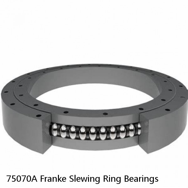 75070A Franke Slewing Ring Bearings