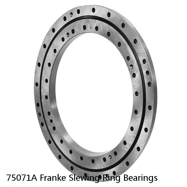 75071A Franke Slewing Ring Bearings