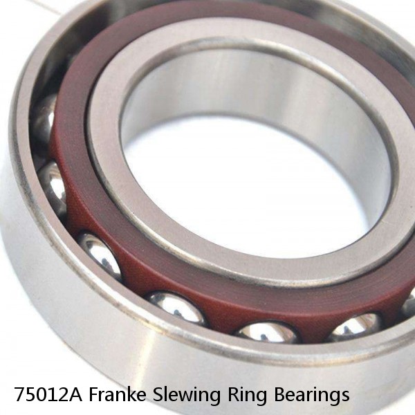 75012A Franke Slewing Ring Bearings