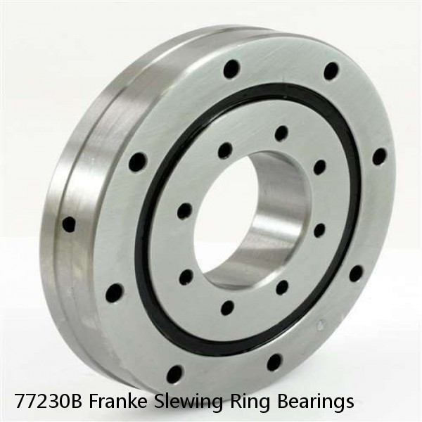 77230B Franke Slewing Ring Bearings