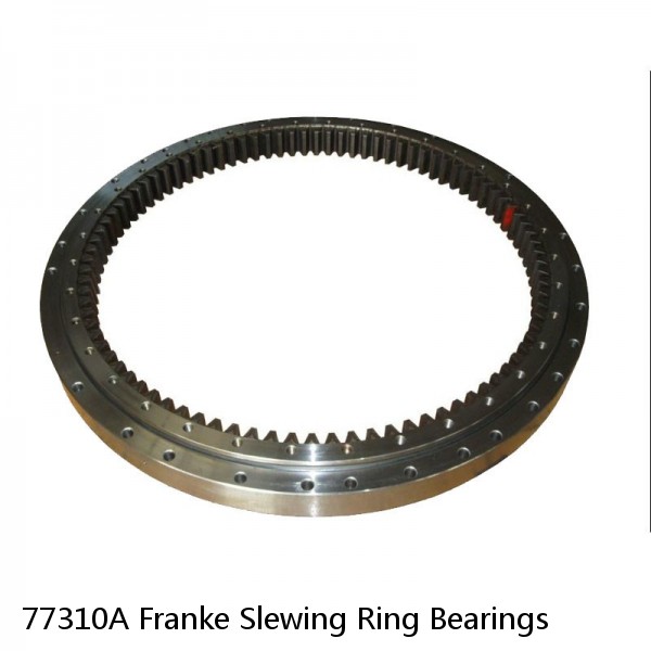 77310A Franke Slewing Ring Bearings