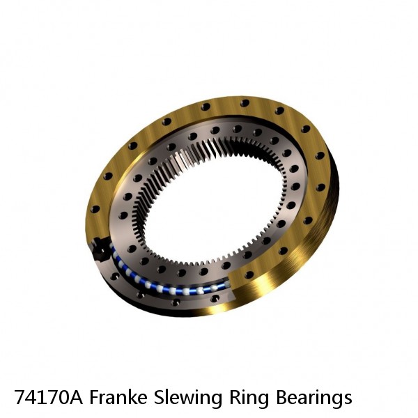 74170A Franke Slewing Ring Bearings