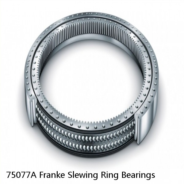 75077A Franke Slewing Ring Bearings