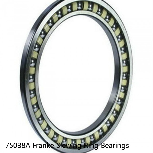 75038A Franke Slewing Ring Bearings