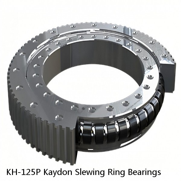 KH-125P Kaydon Slewing Ring Bearings