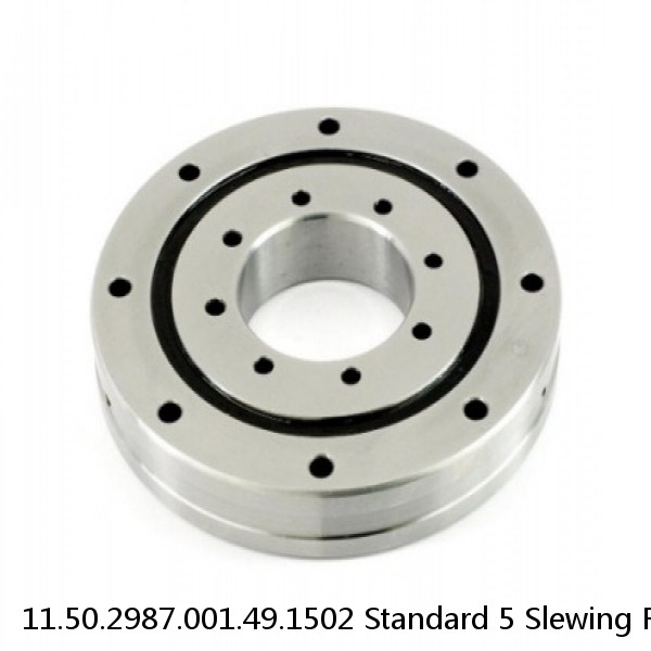 11.50.2987.001.49.1502 Standard 5 Slewing Ring Bearings