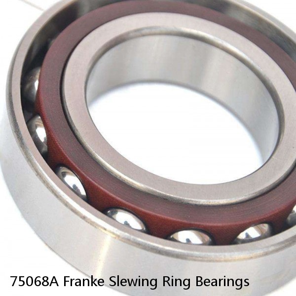 75068A Franke Slewing Ring Bearings