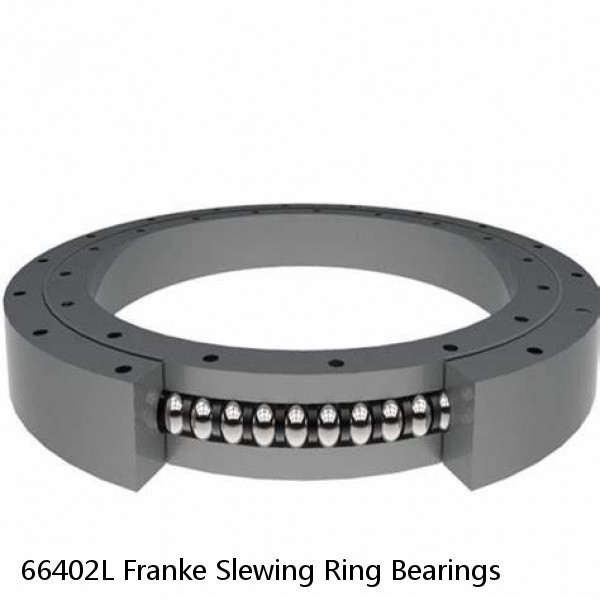 66402L Franke Slewing Ring Bearings