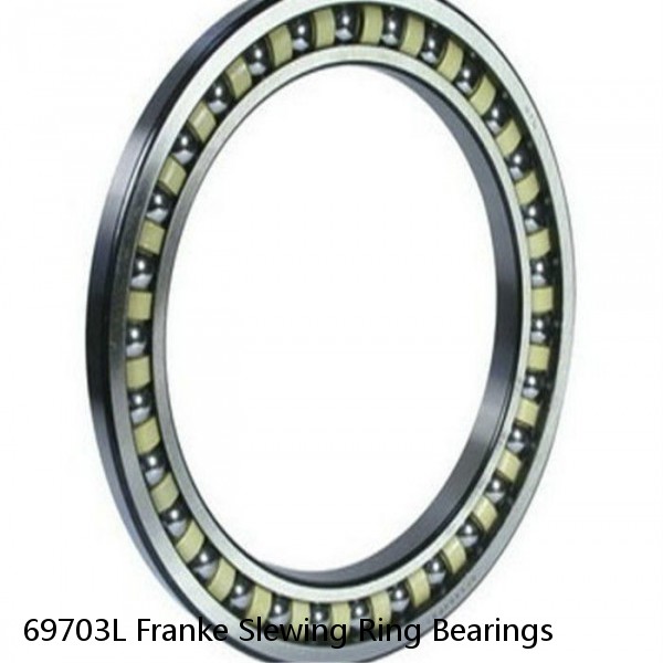 69703L Franke Slewing Ring Bearings