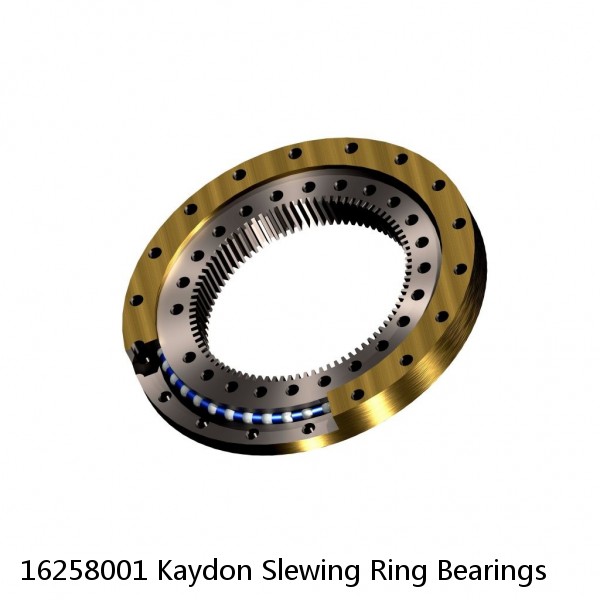 16258001 Kaydon Slewing Ring Bearings