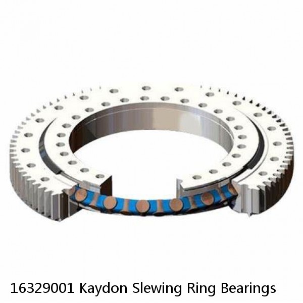 16329001 Kaydon Slewing Ring Bearings