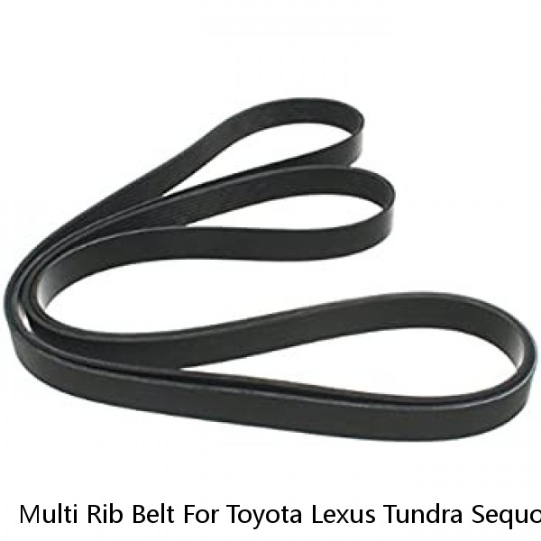 Multi Rib Belt For Toyota Lexus Tundra Sequoia LX570 GX460 Land Cruiser YQ36N1
